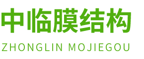潍坊中临膜结构工程有限公司